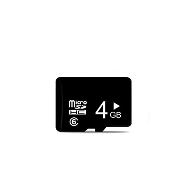 _0001s_0000_4GB SD data card